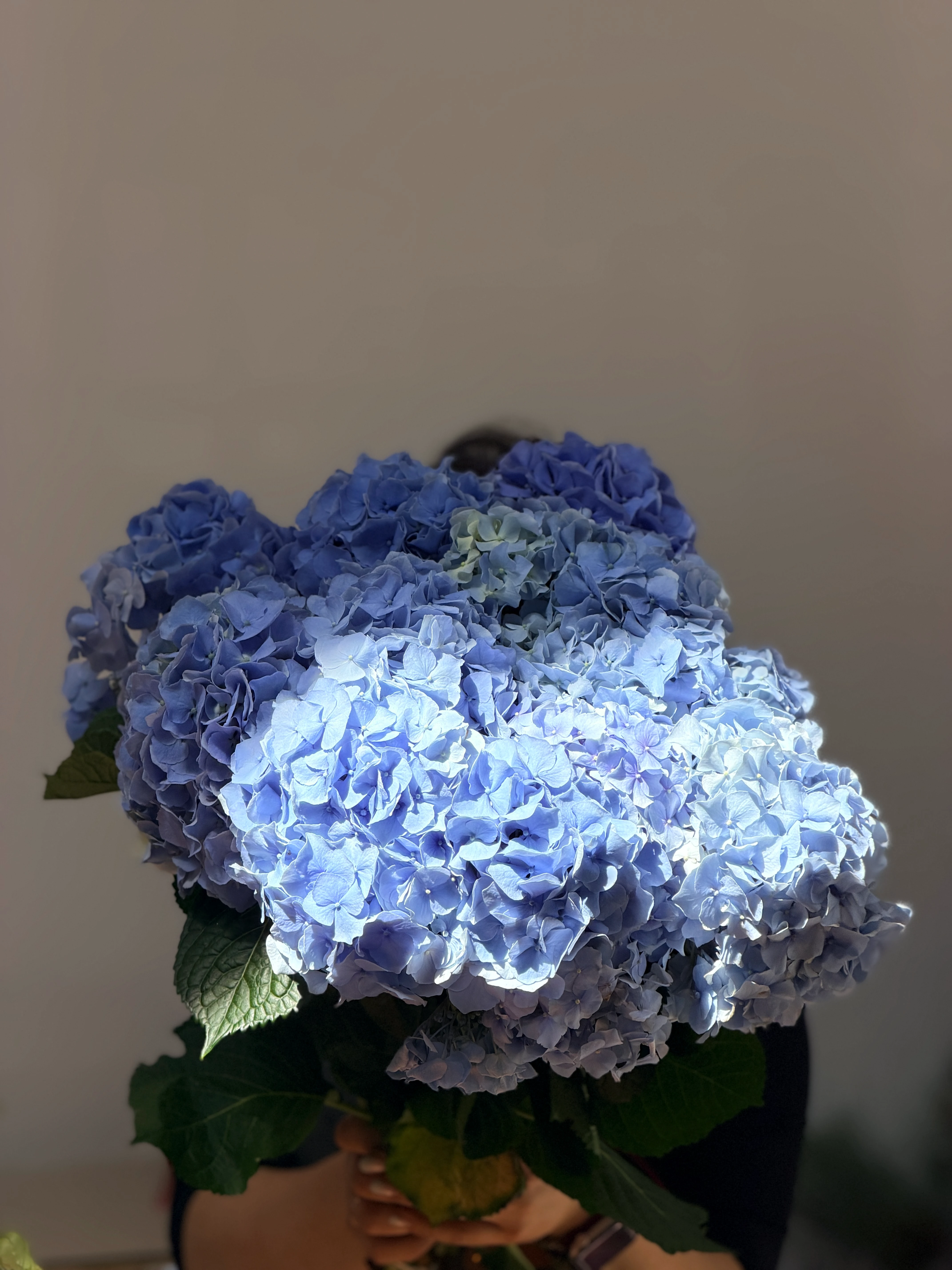 Flower Subscriptions: A Gift of Flowers Every Month – How It Works