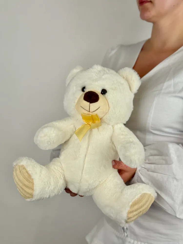 Teddy bear small size (different colours)