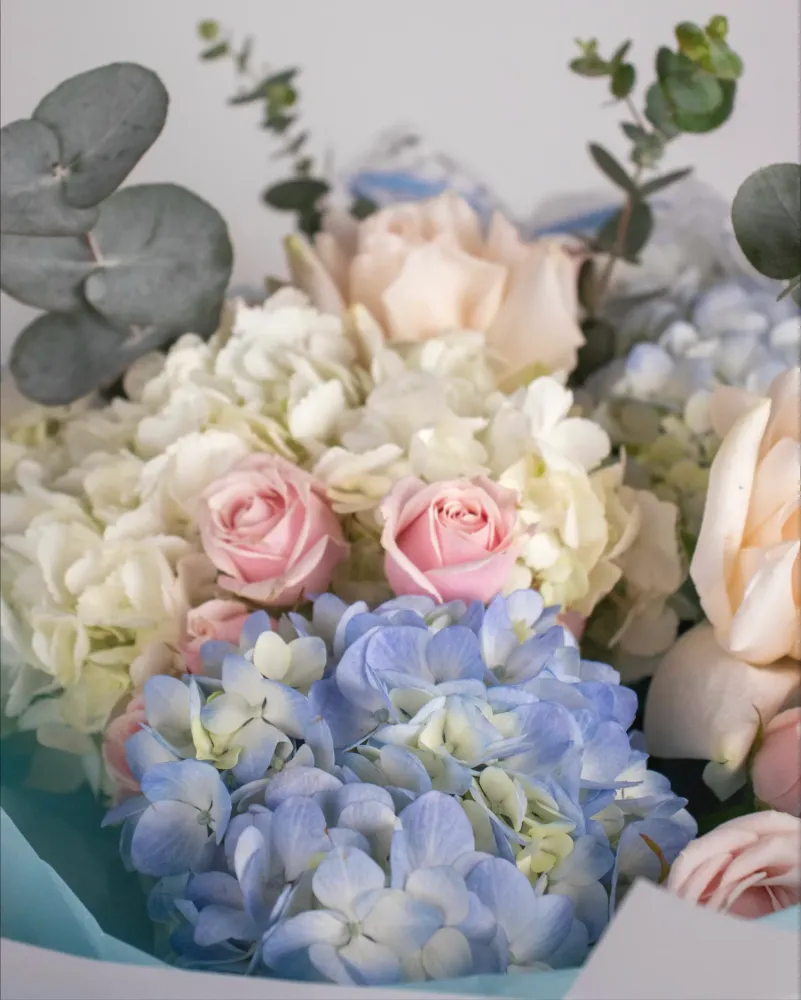 Close-up of cream roses, soft pink roses and pale blue hydrangeas with eucalyptus foliage — Floritta