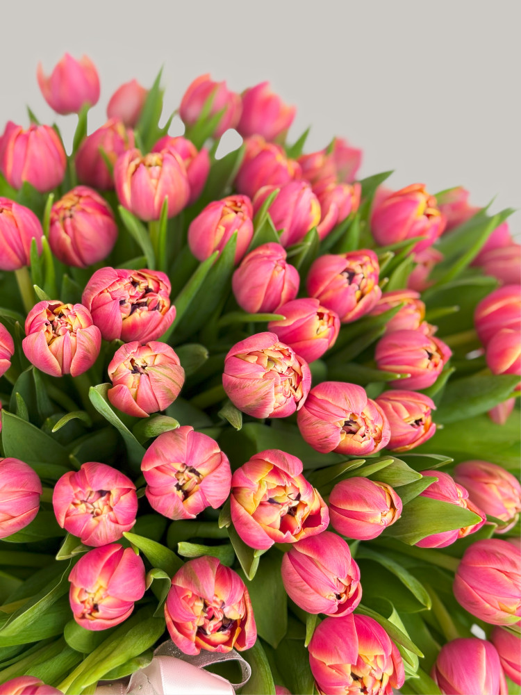 Blush basket of tulips (80 tulips)