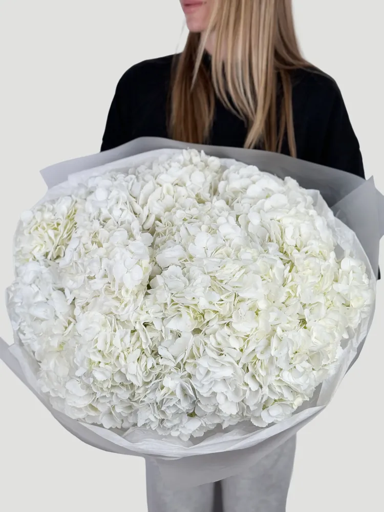 Full white hydrangea arrangement with subtle green foliage, paper wrapped — Floritta