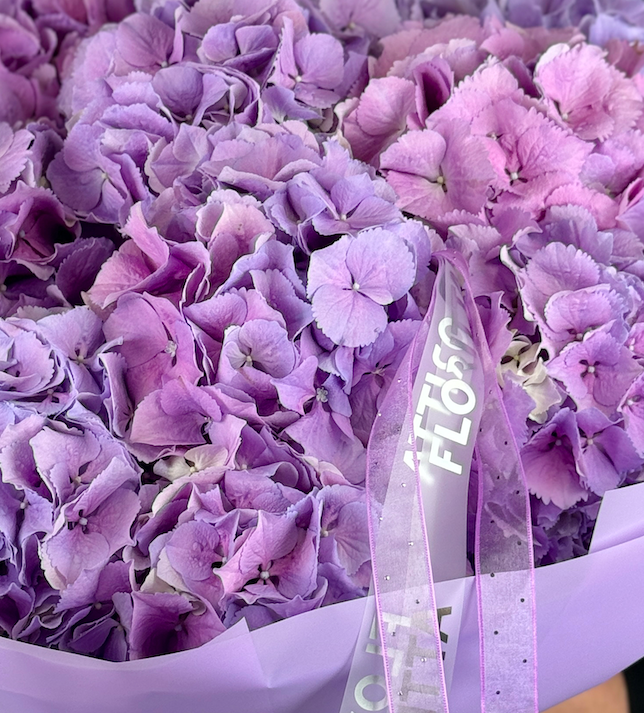 10 lavender hydrangeas in lilac wrap