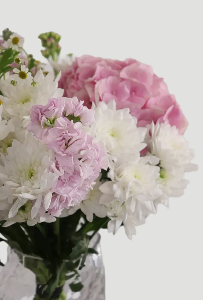 Mauve and white carnations with daisy-style flowers in vase — Floritta