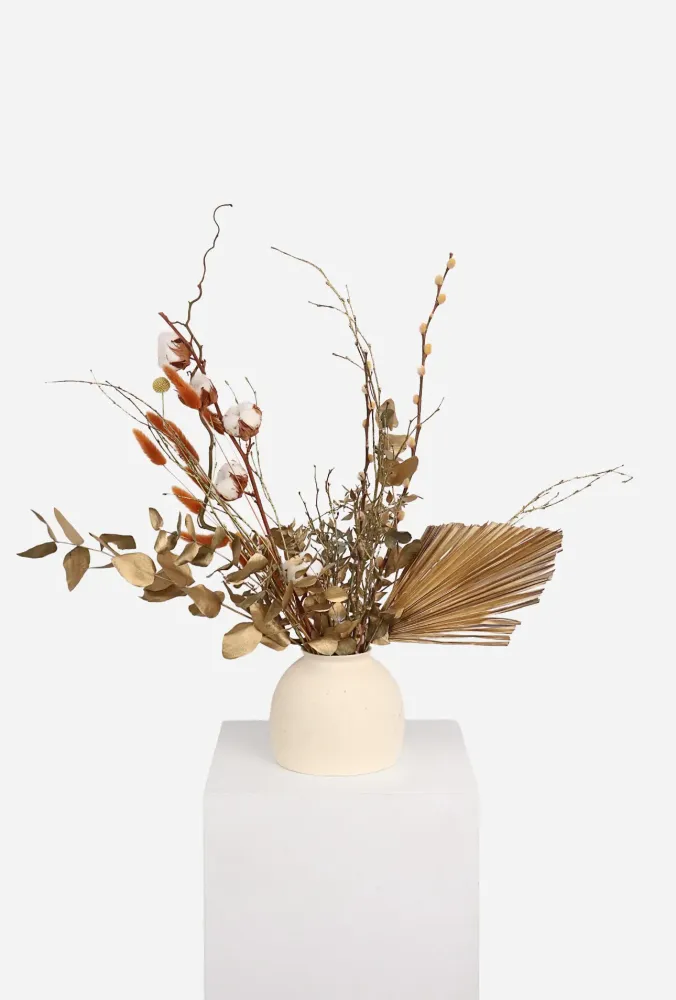 Dried physalis and cotton with eucalyptus in cream vase — Floritta