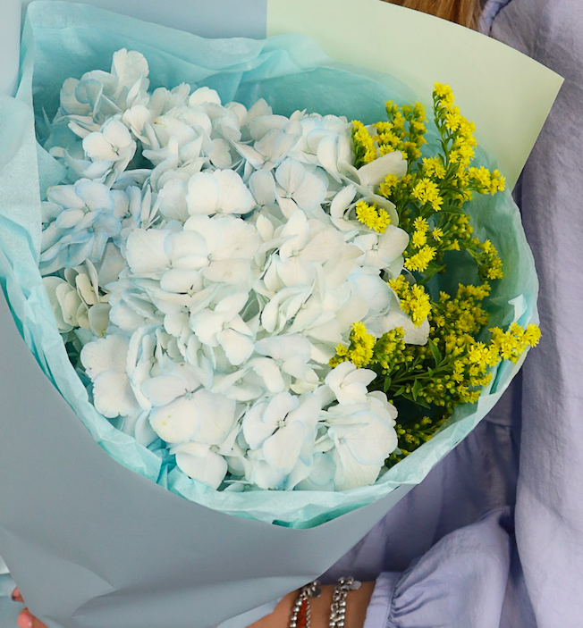 Sky harmony (hydrangea & solidago)