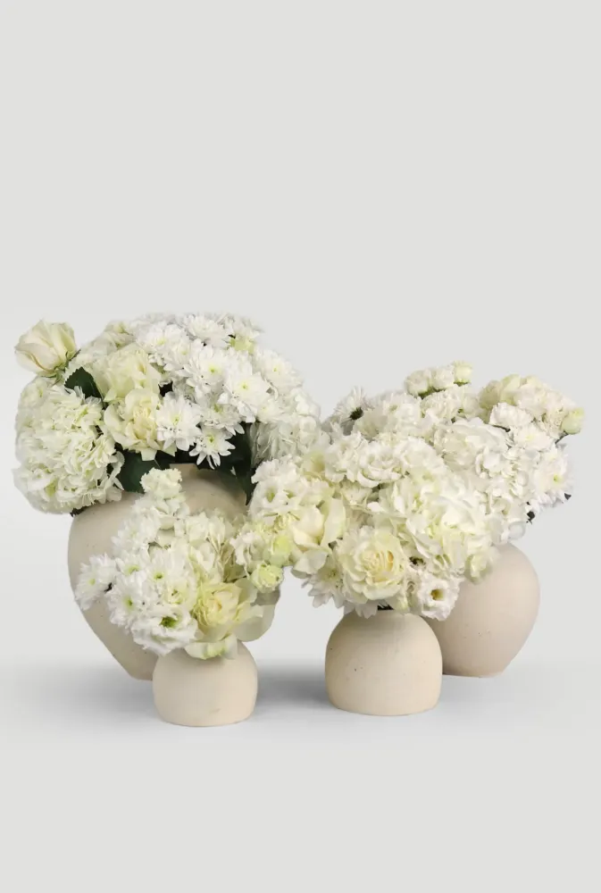 Lush white roses, hydrangeas and chrysanthemums in cream ceramic vase — Floritta
