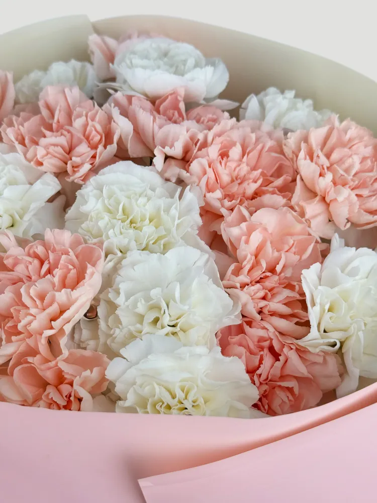 Lush bouquet of coral pink and white carnations in pink wrap — Floritta