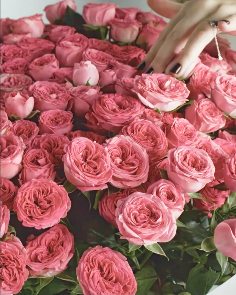 Grand pink spray roses bouquet