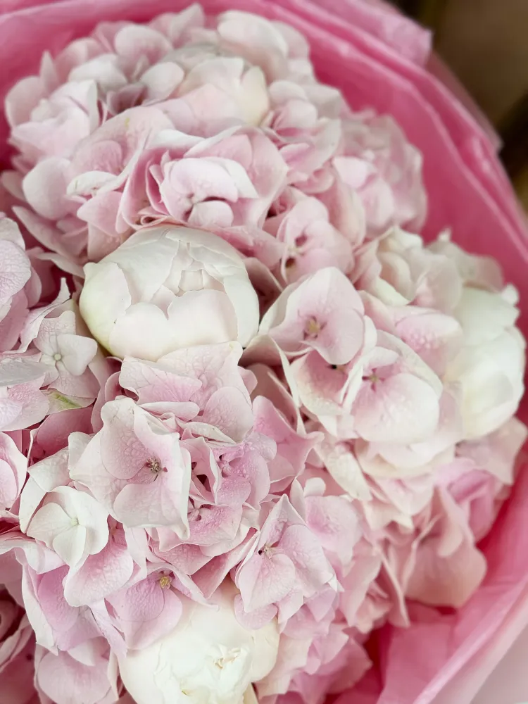 Pink hydrangea & peony bouquet