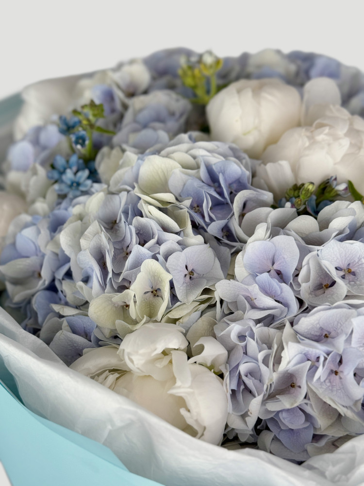 Close-up of soft lavender hydrangea, white peonies and blue skimmia detail — Floritta