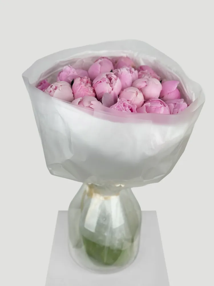 Blush peony dream (20 peonies)