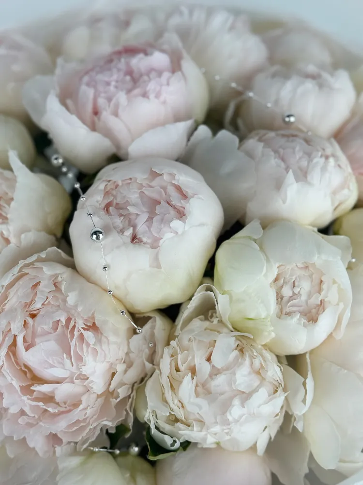 Ivory peony whisper (18 white peonies)