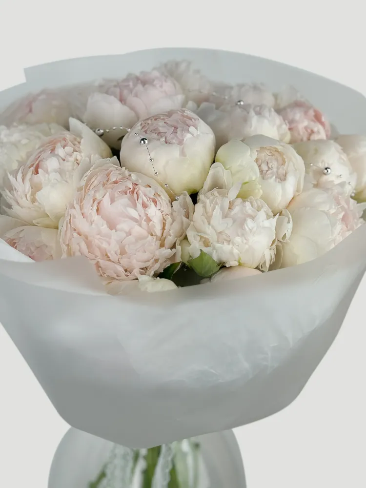 Ivory peony whisper (18 white peonies)