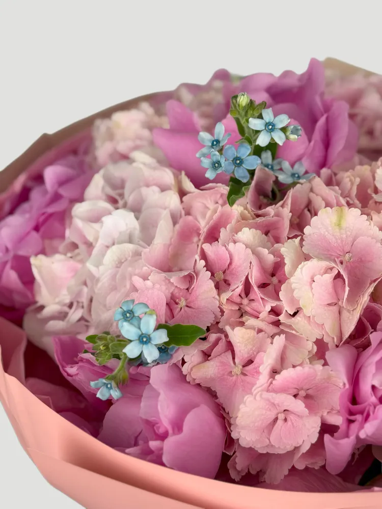 Luxurious bouquet of pink carnations with forget-me-nots in pink wrap — Floritta