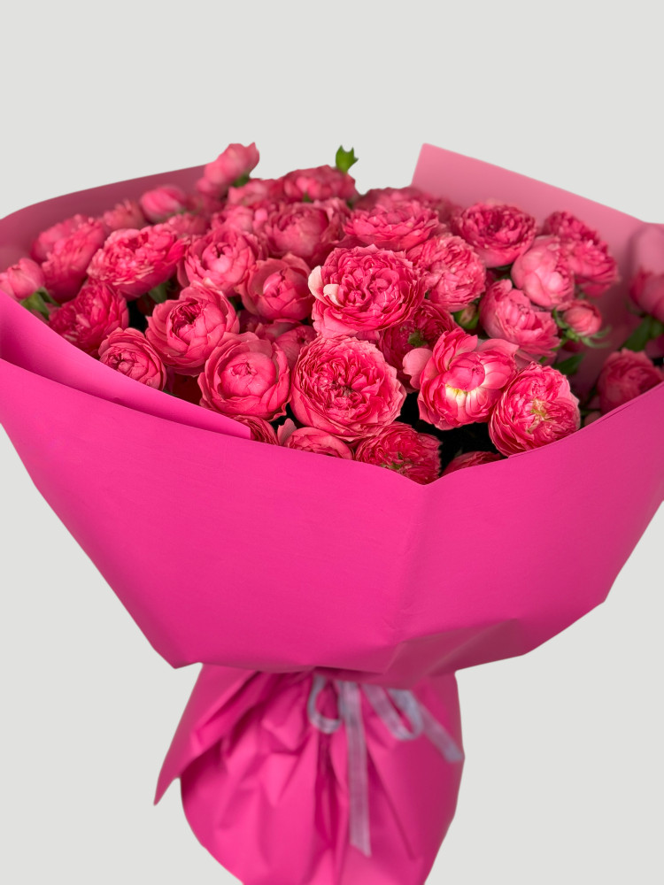 Spray rosé melody (25 stems)