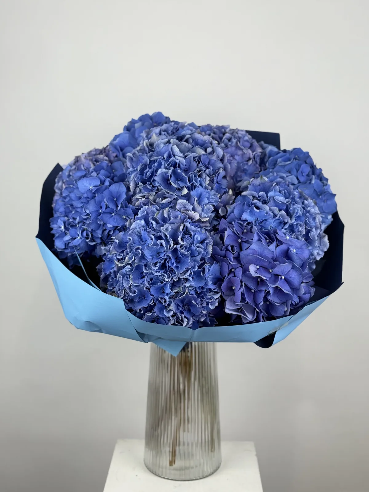 Blue velvet (10 hydrangeas)