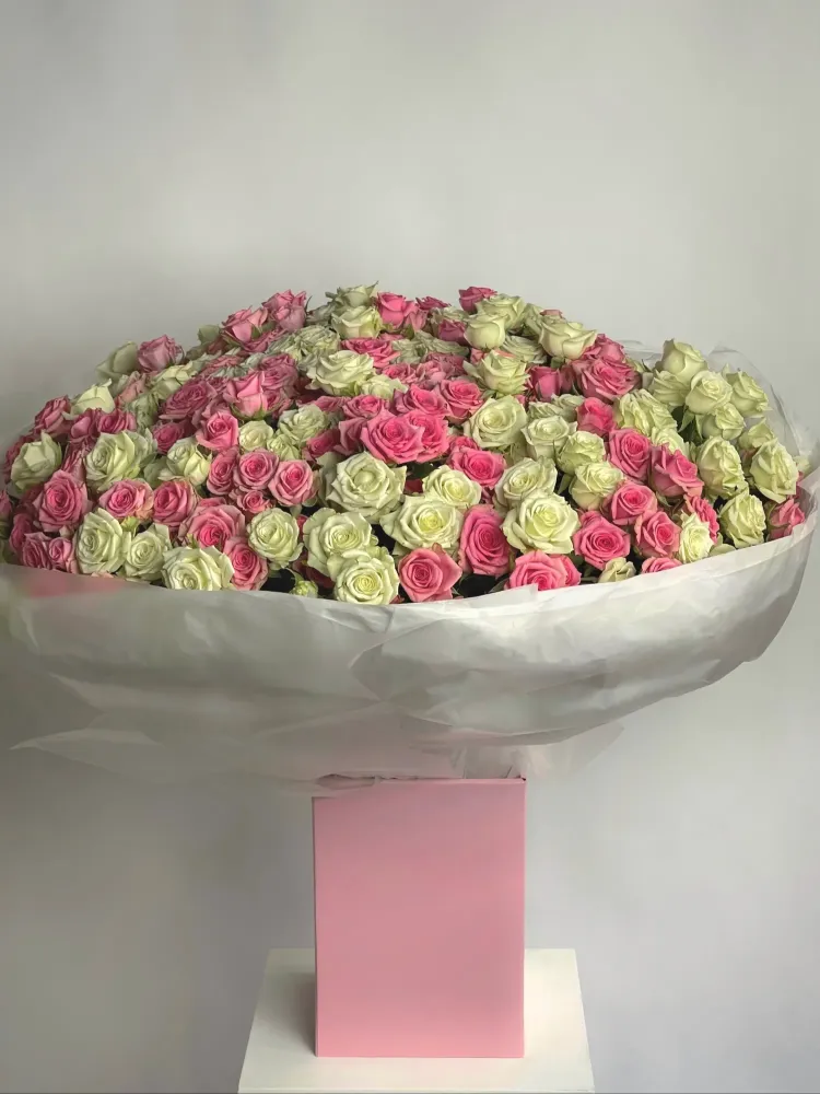 Abundant dome of pink and cream roses in white tissue wrap — Floritta