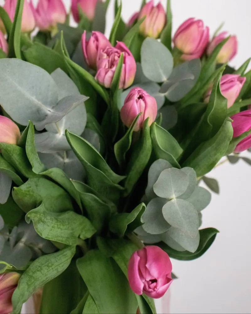 Close-up of full, vibrant pink tulips and eucalyptus — Floritta