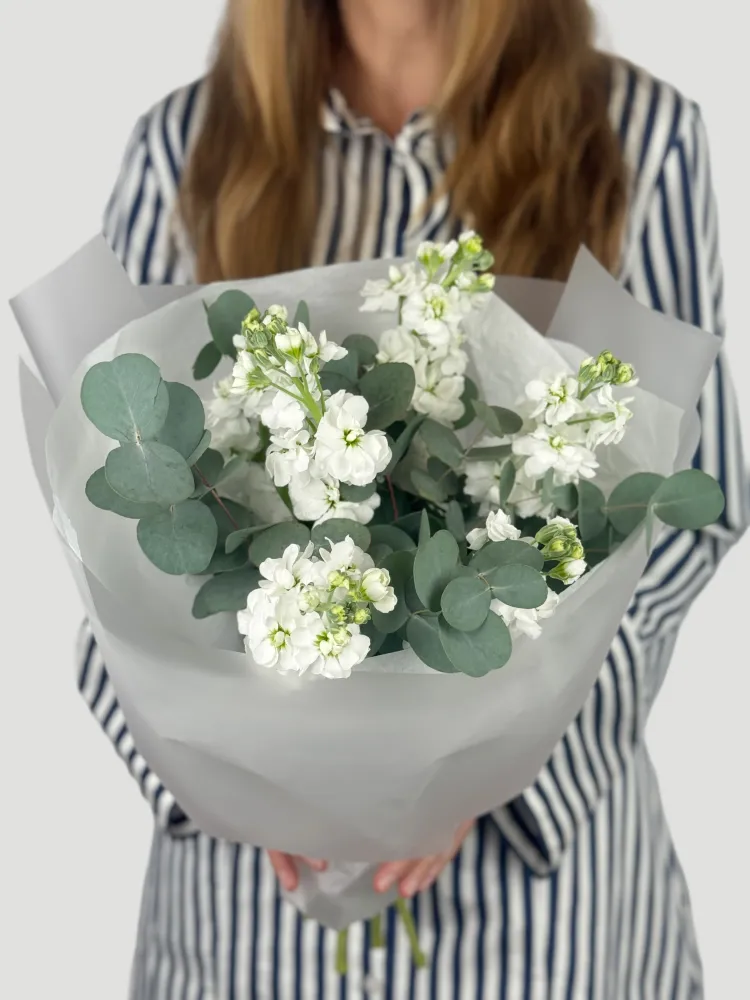 Fresh white stock with eucalyptus in paper wrap — Floritta