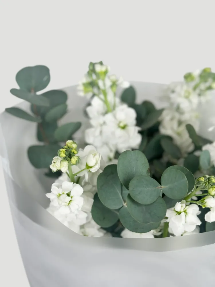 White matthiola & eucalyptus bouquet