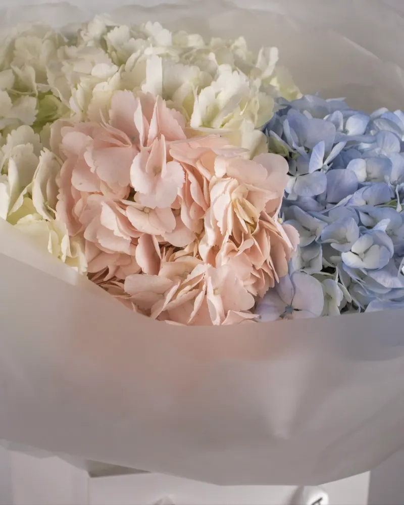 Luxe mixed hydrangea, peony and lisianthus bouquet in soft pastels — Floritta