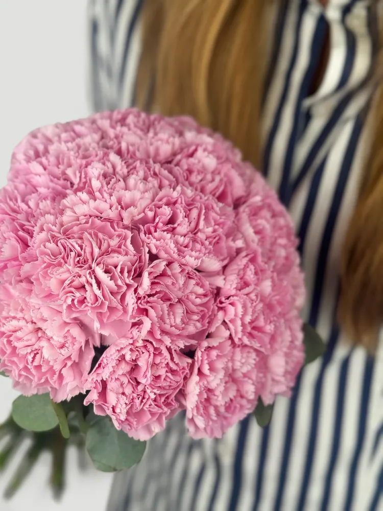 Full pink carnation bouquet with eucalyptus in striped wrap — Floritta