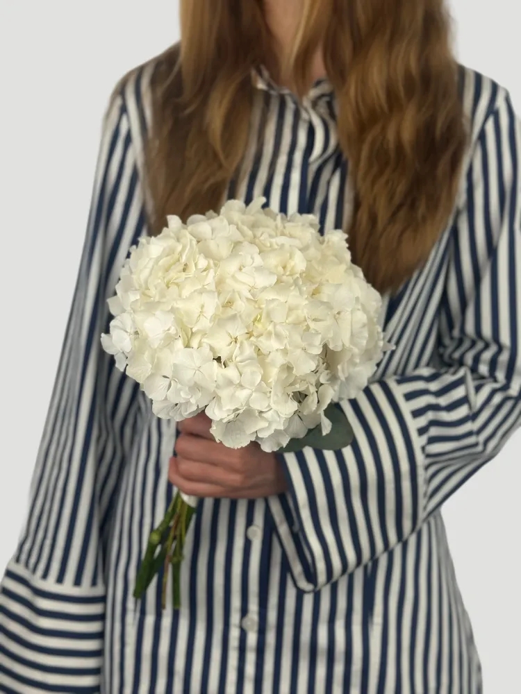 Cream hydrangea hand-tied bouquet with ruscus greenery — Floritta