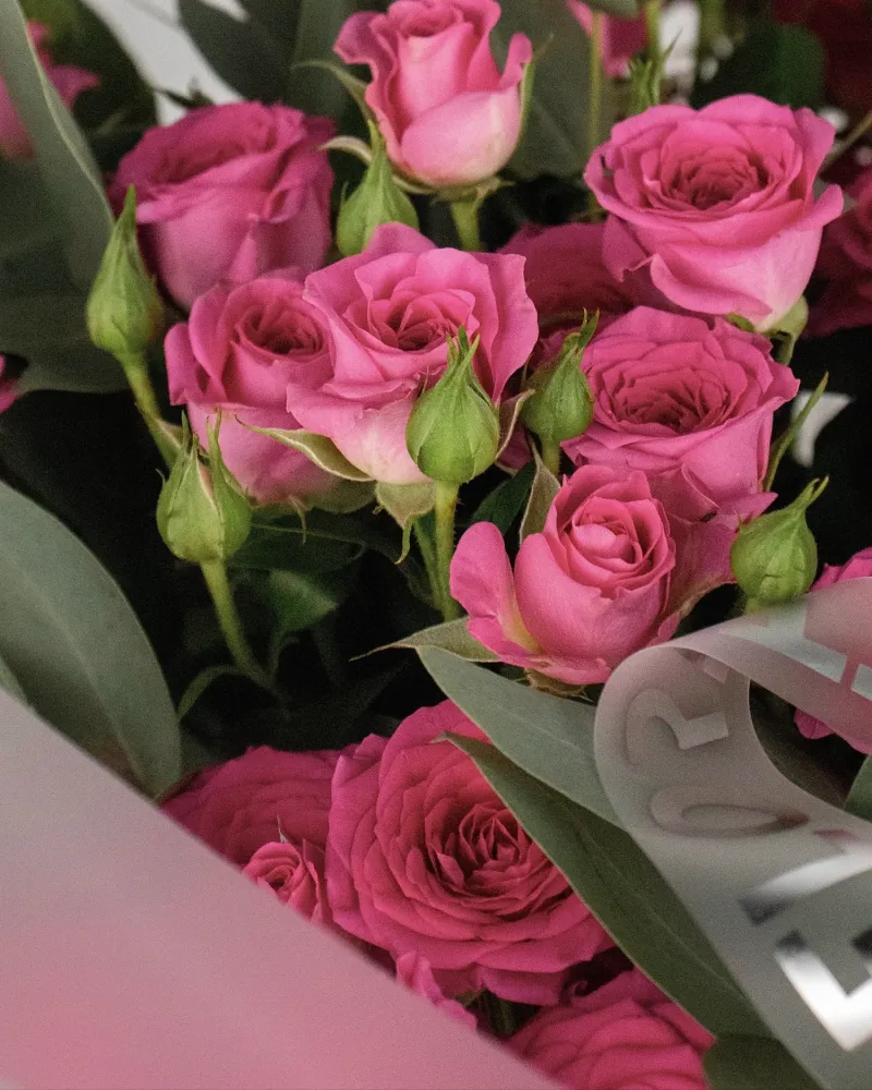 Close-up of hot pink roses with buds and eucalyptus in pink tissue wrap — Floritta