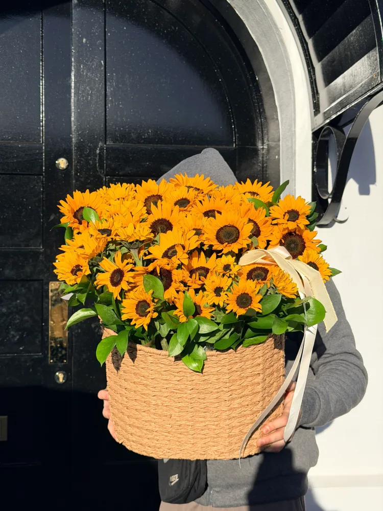 Abundant sunflower arrangement in woven straw basket — Floritta same-day delivery