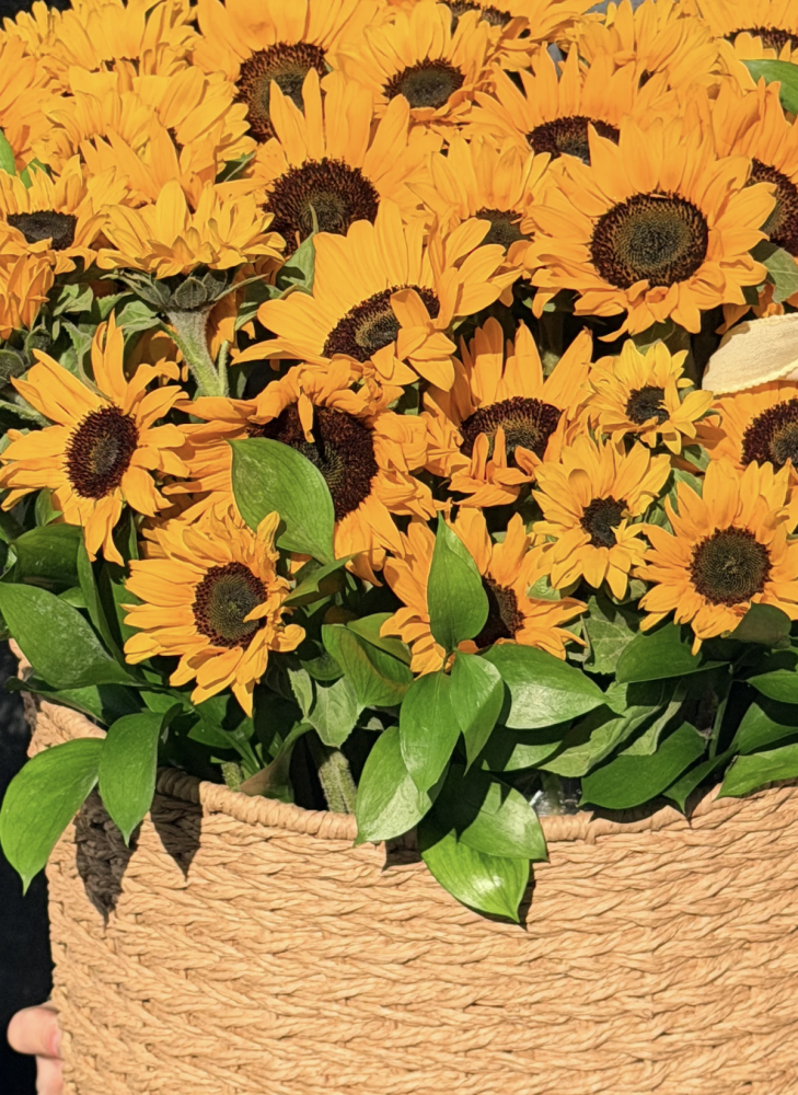 Sunshine symphony basket