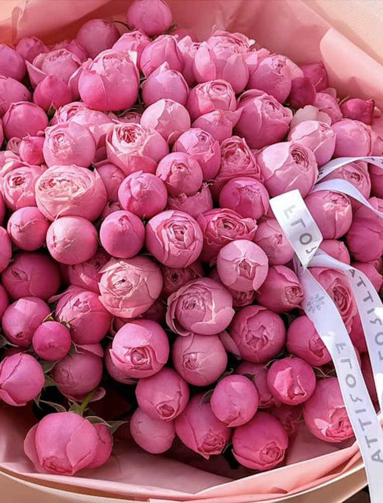 Pink garden elegance roses