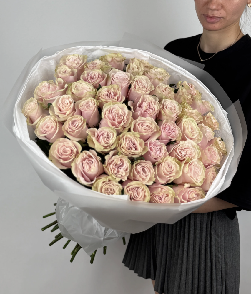 50 pink roses