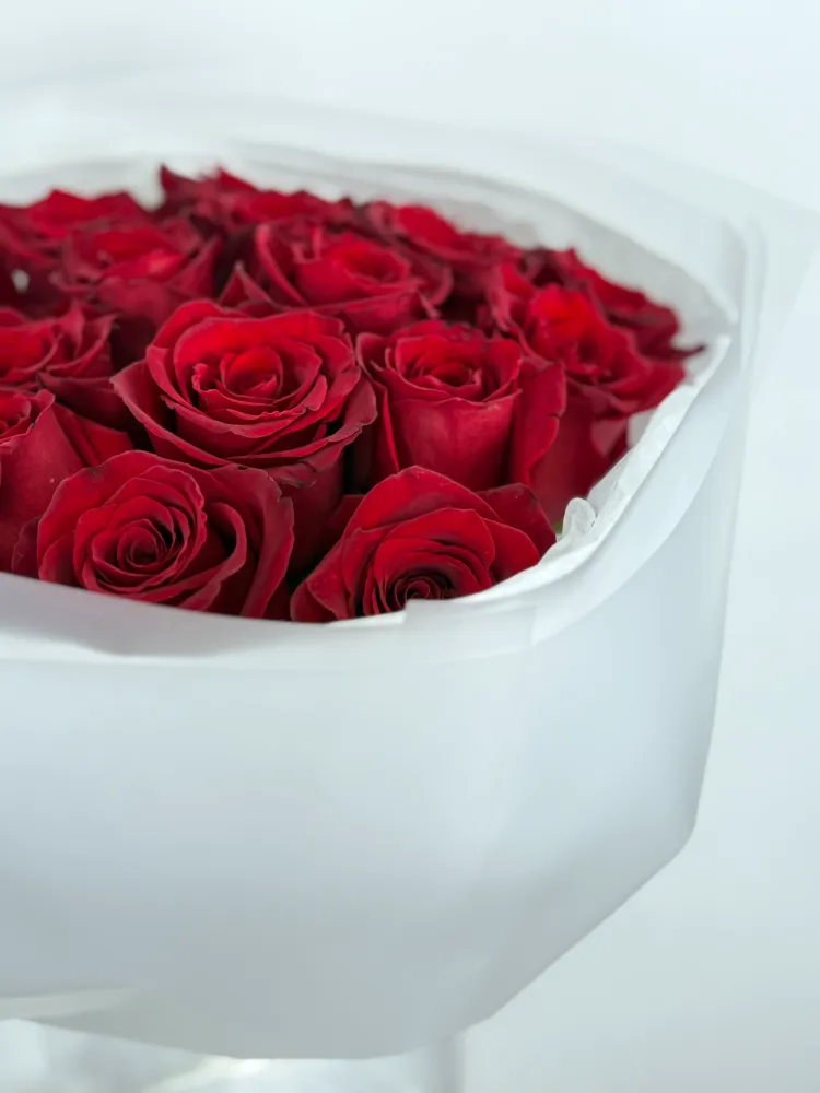 20 velvety red roses