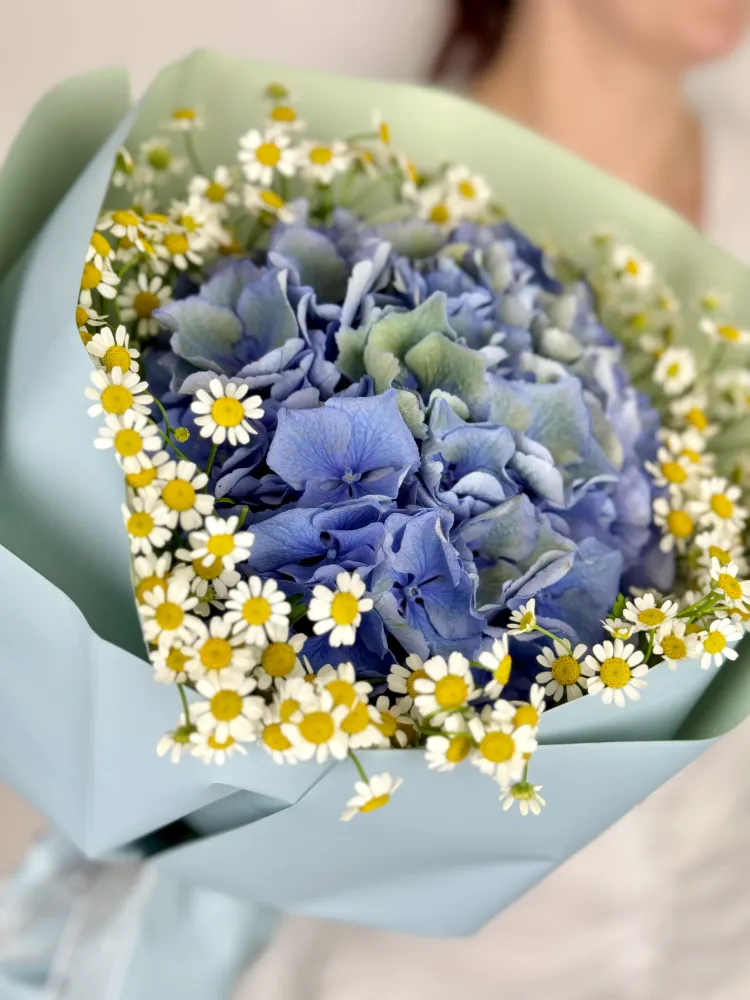 Blue hydrangea and white chamomile wrapped bouquet by Floritta
