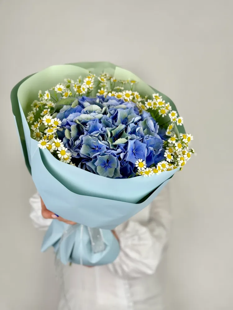 Sky & sunshine bouquet (daisies & hydrangea)