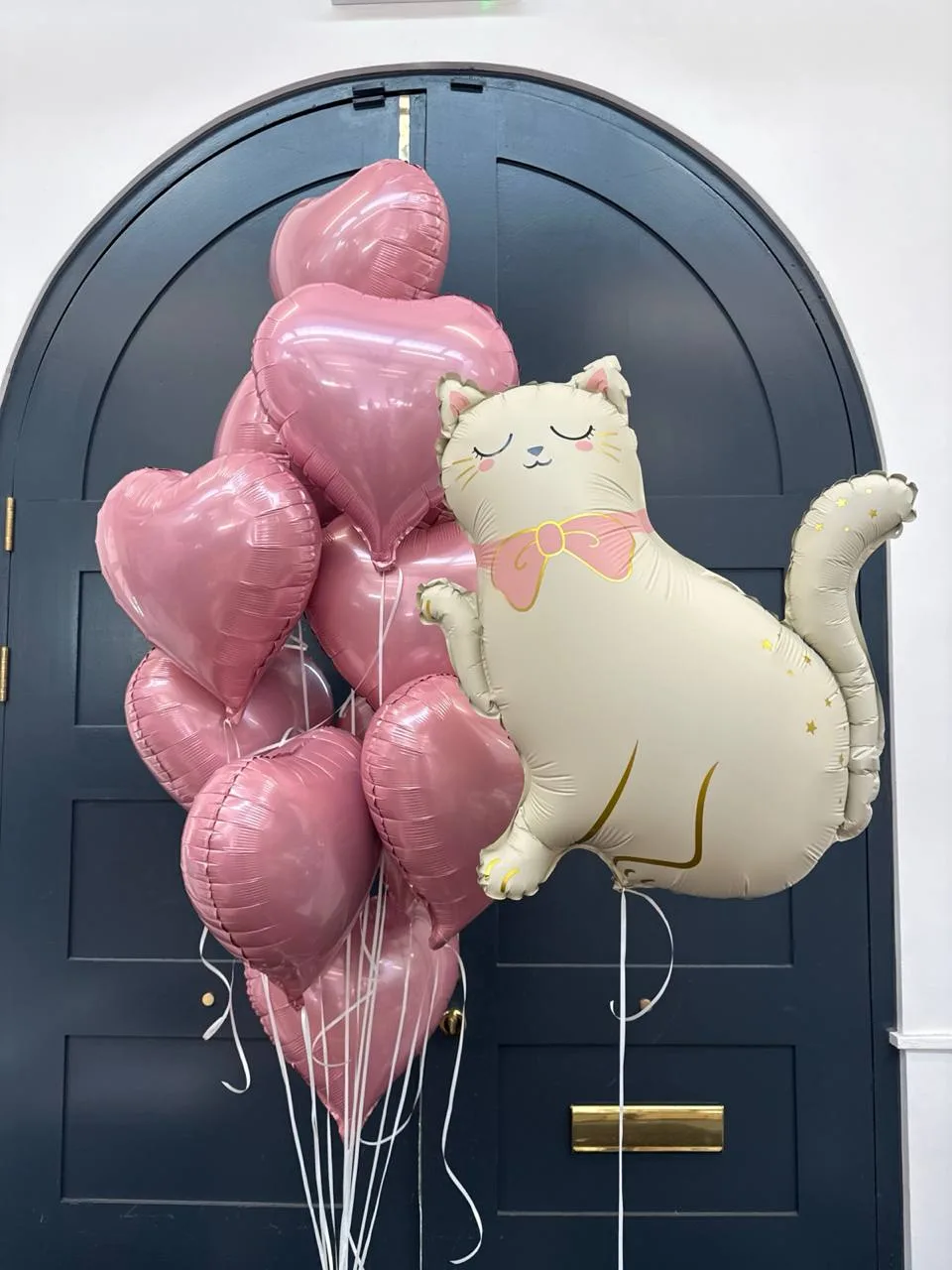 Purr-fect surprise (11 balloon helium inflated)