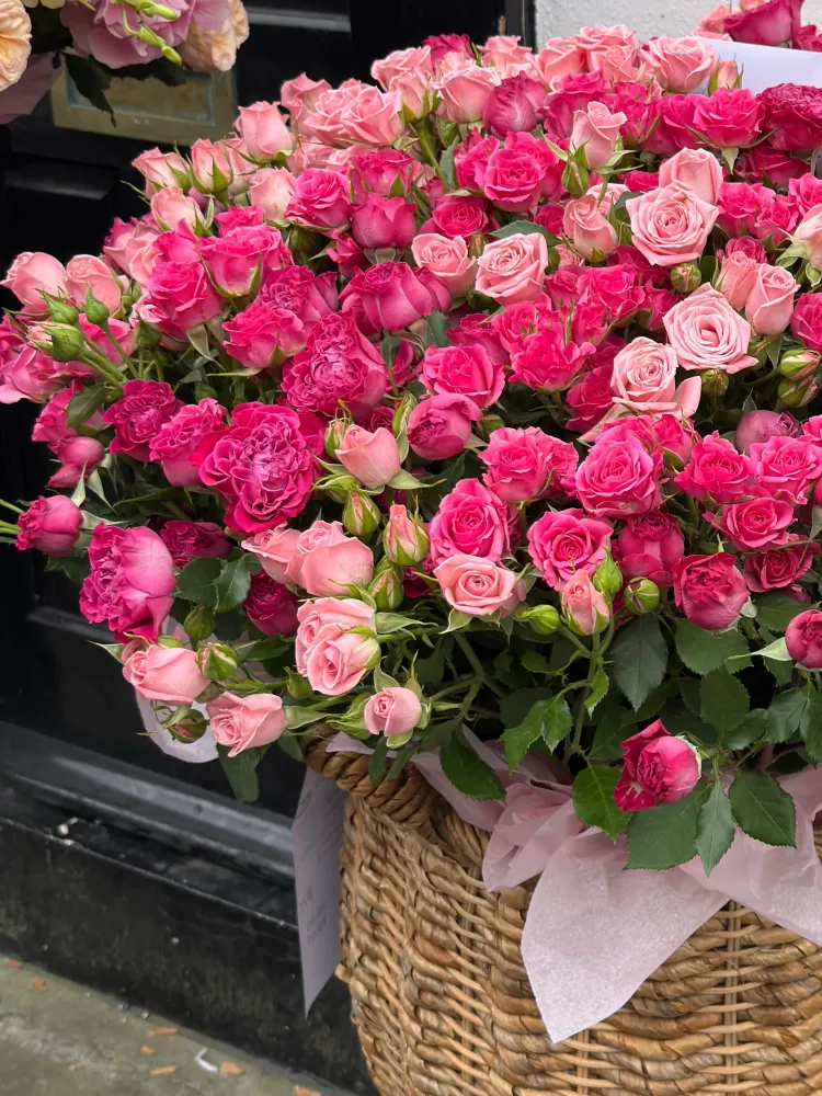 Queen of blooms garden roses basket
