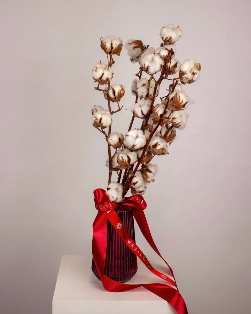 Dried cotton stems with red ribbon bow in burgundy vase — Floritta