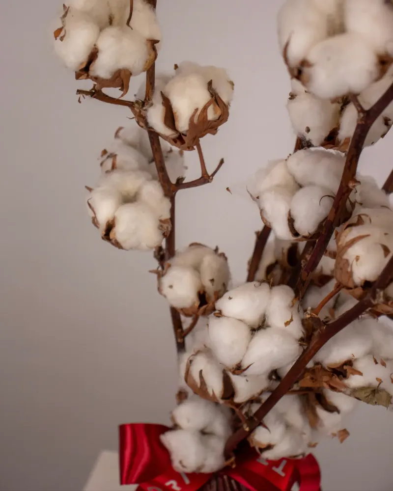 Elegant winter cotton bouquet