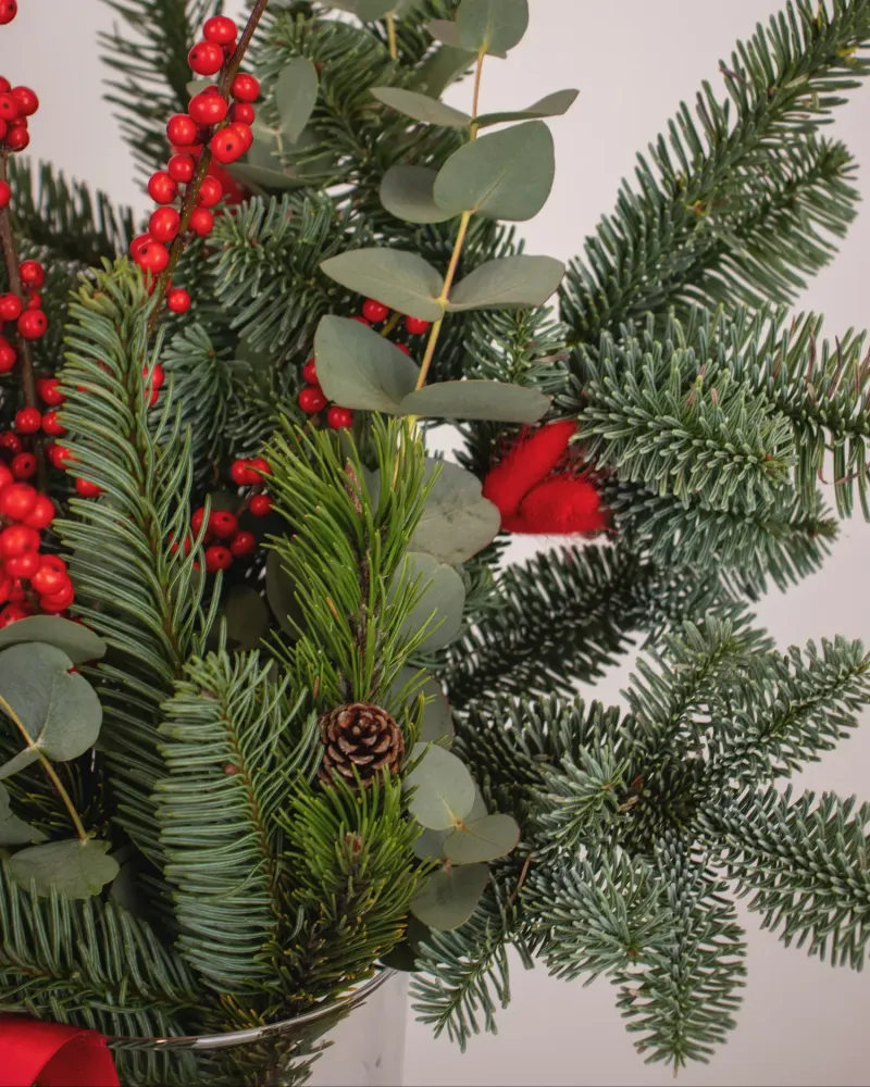 Close-up of red skimmia berries with spruce, pine foliage and eucalyptus foliage — Floritta