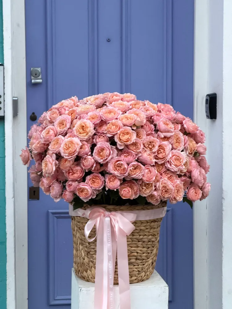 Luxe peach garden rose dome in woven basket with pink ribbon — Floritta