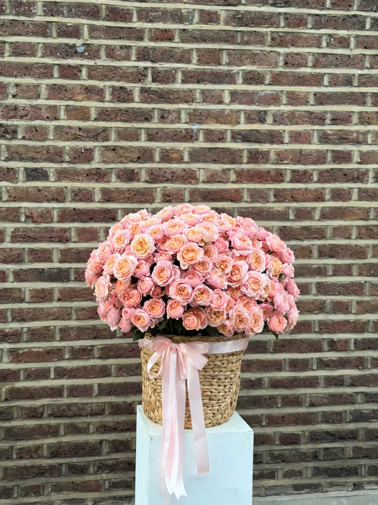 Full dome of blush garden roses in natural basket with silk bow — Floritta