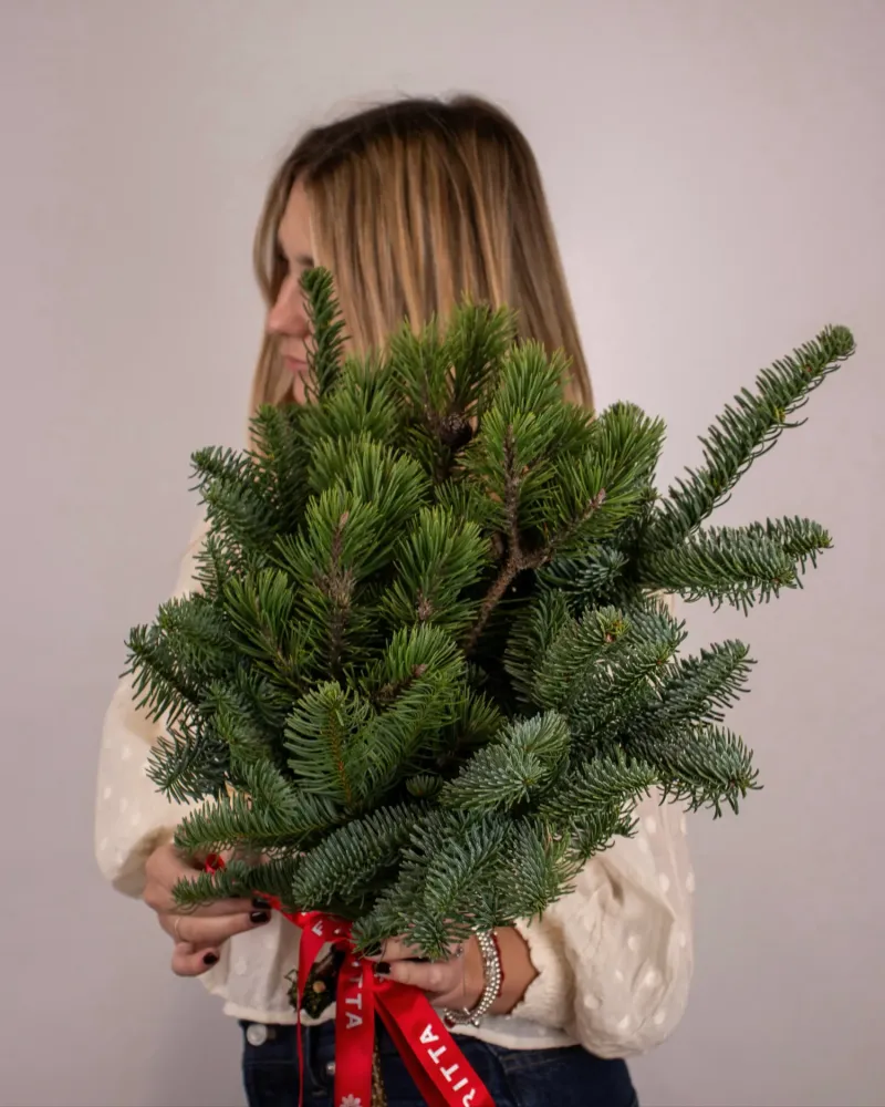 Full evergreen conifer bouquet with red Floritta ribbon wrap — festive gift