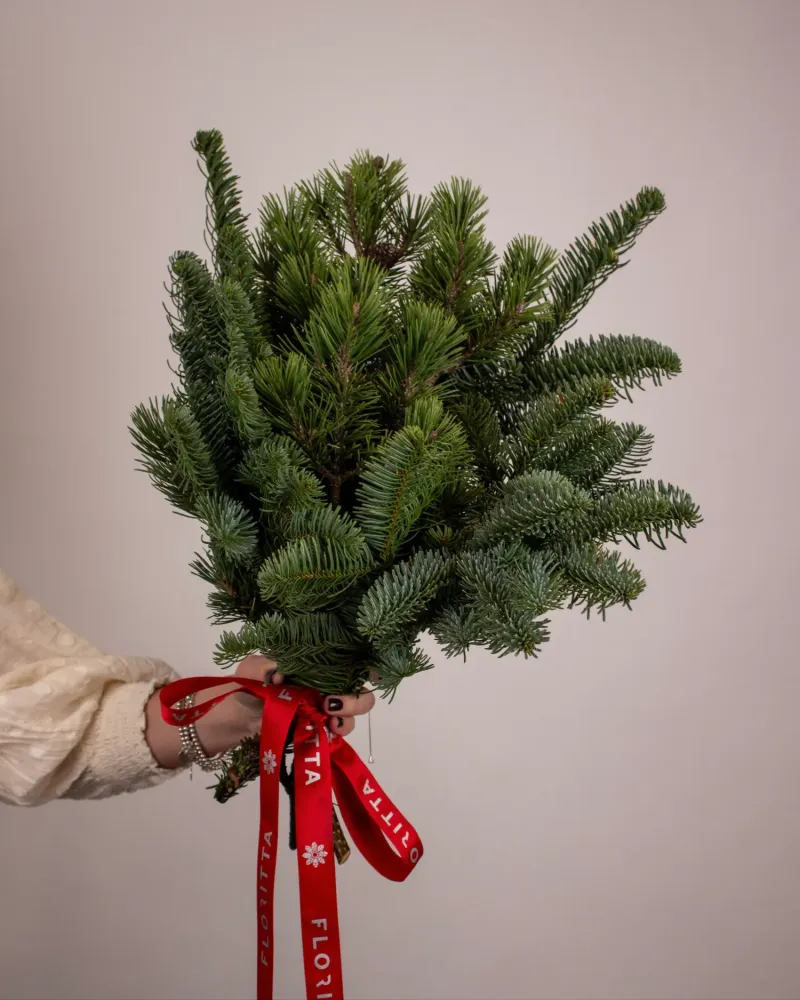 Minimalist conifer greenery bunch with red Floritta ribbon — sustainable festive arrangement