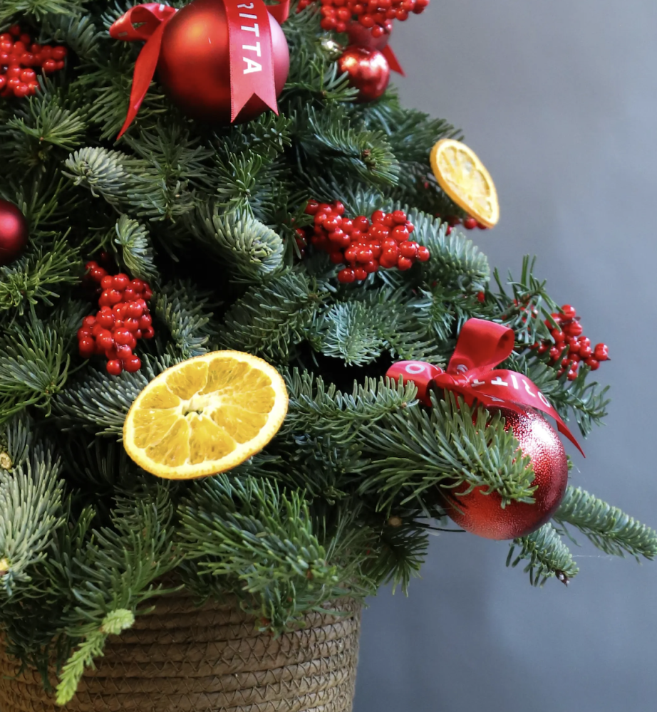 Scarlet citrus Christmas tree