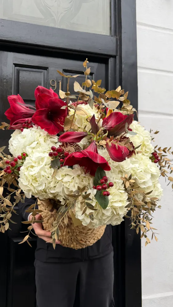 Cream hydrangea and red amaryllis arrangement in woven basket — Floritta