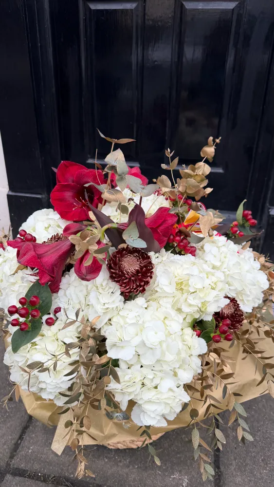 Ivory & amaryllis grace