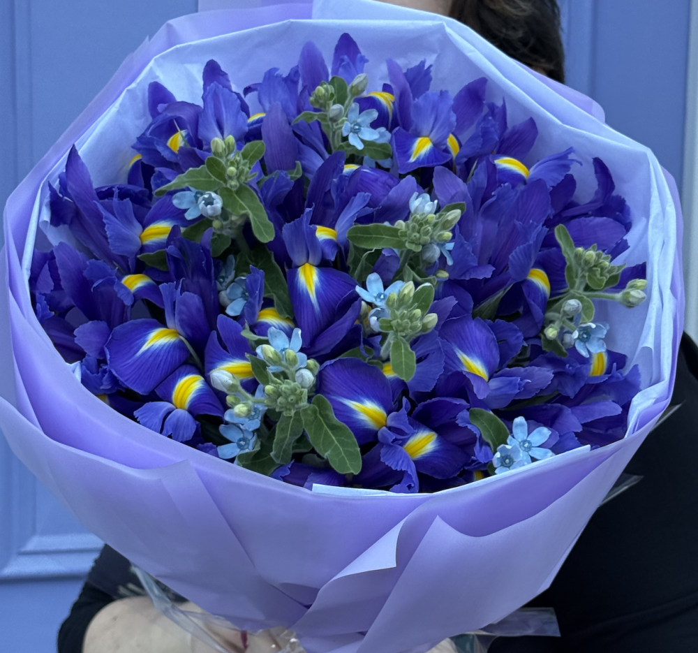 Bluebell elegance (30 stems)