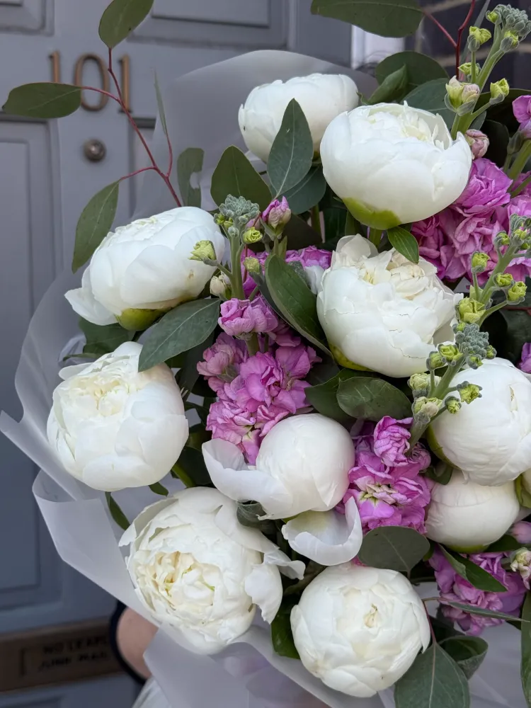 Peony reverie (peonies & delphinium)