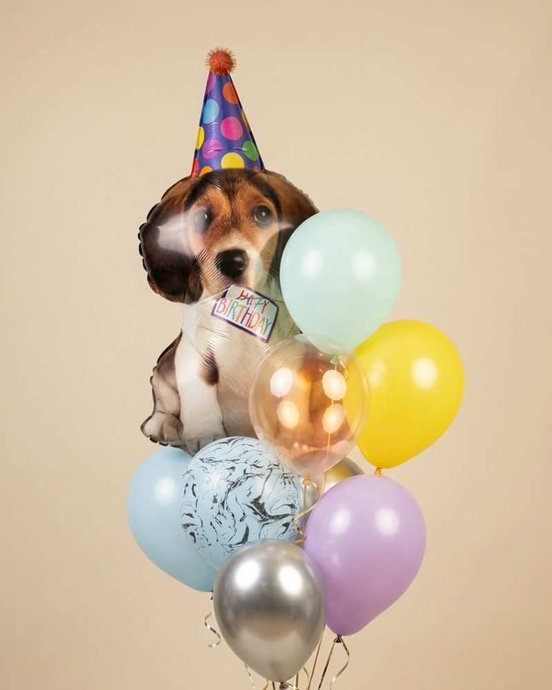 Colourful helium balloon bunch with party dog and pom — Floritta